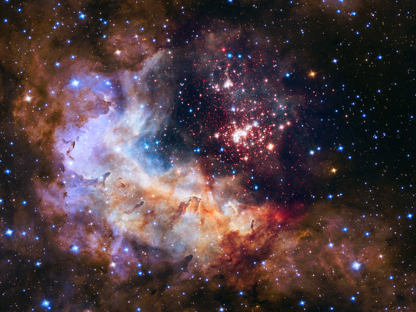 Westerlund 2 young star cluster embedded in nebula Gum 29 in Carina — Hubble ACS and WFC3 25th anniversary image 2015, 20000 light-years away