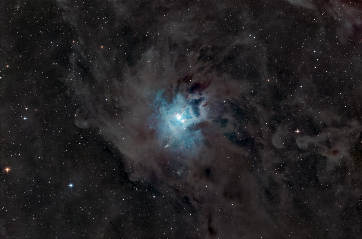 NGC 7023 Iris Nebula broadband astrophotography — blue reflection nebula surrounded by dark molecular dust in Cepheus, Colli Euganei Italy, 15 hours exposure — fine art print by Sideris