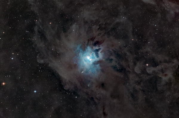 NGC 7023 Iris Nebula broadband astrophotography — blue reflection nebula surrounded by dark molecular dust in Cepheus, Colli Euganei Italy, 15 hours exposure — fine art print by Sideris