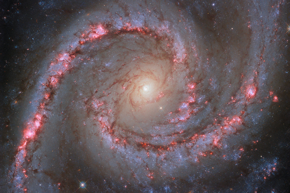 NGC 1566, the Spanish Dancer Galaxy, in the constellation Dorado — Hubble WFC3 image 2023 showing sweeping spiral arms, dark dust lanes and pink star-forming regions, 60 million light-years away