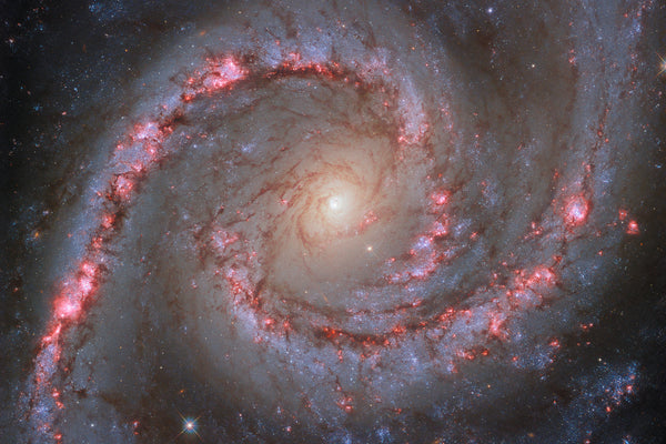 NGC 1566, the Spanish Dancer Galaxy, in the constellation Dorado — Hubble WFC3 image 2023 showing sweeping spiral arms, dark dust lanes and pink star-forming regions, 60 million light-years away