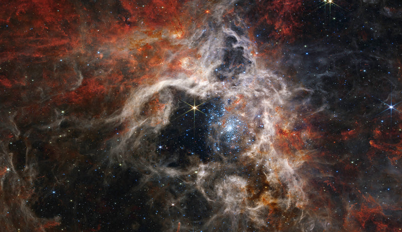 Tarantola Nebula photographed by James Webb Space Telescope NIRCam in 2022 — star-forming filaments and young stellar clusters across 340 light-years